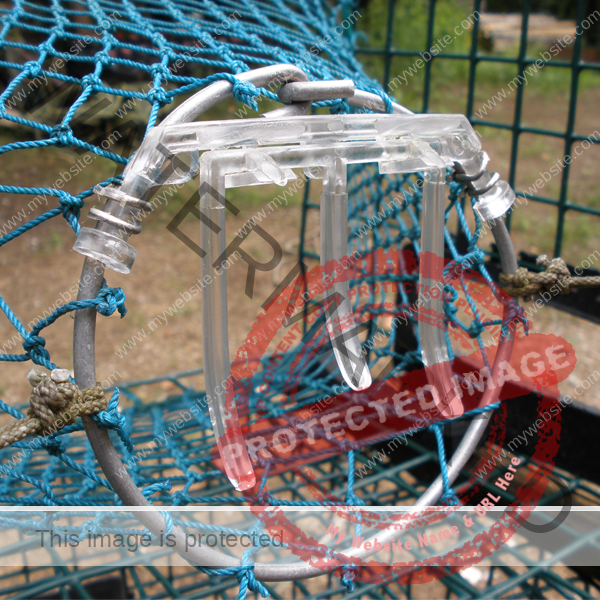 Clapet anti-retour casier homard
