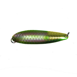 salamander 13 g