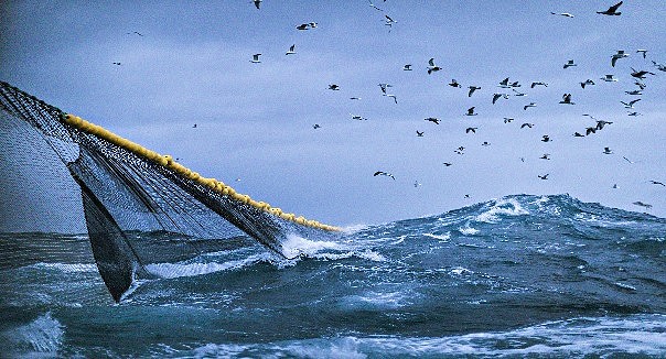 TRAWL NET