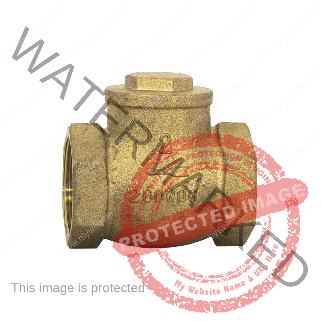check valve brass- soupape de retenus