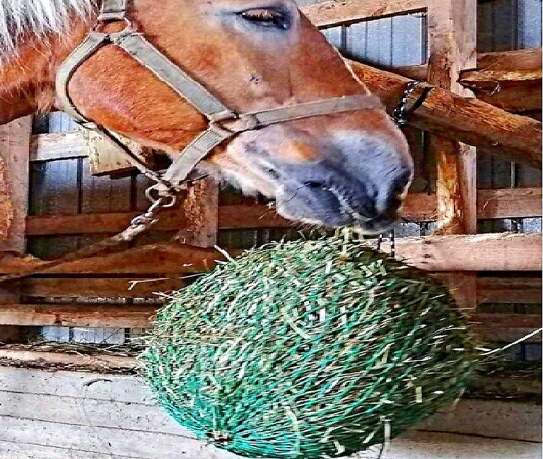 Box Haynet