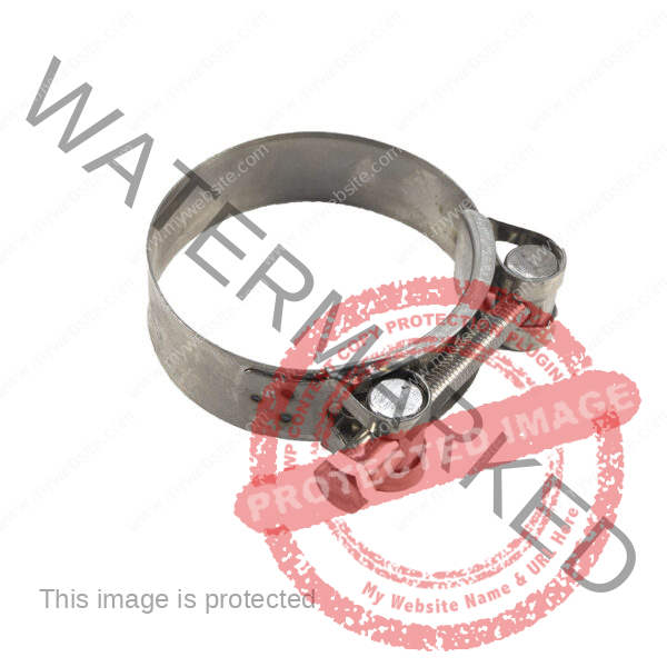 hose clamp-collier de serrage