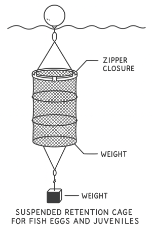 CAGE DE RÉTENTION EN SUSPENSION